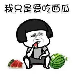 娱乐圈吃瓜动漫